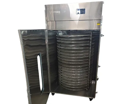 Máy sấy hoa quả