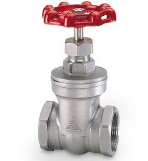 Valve bướm inox sus