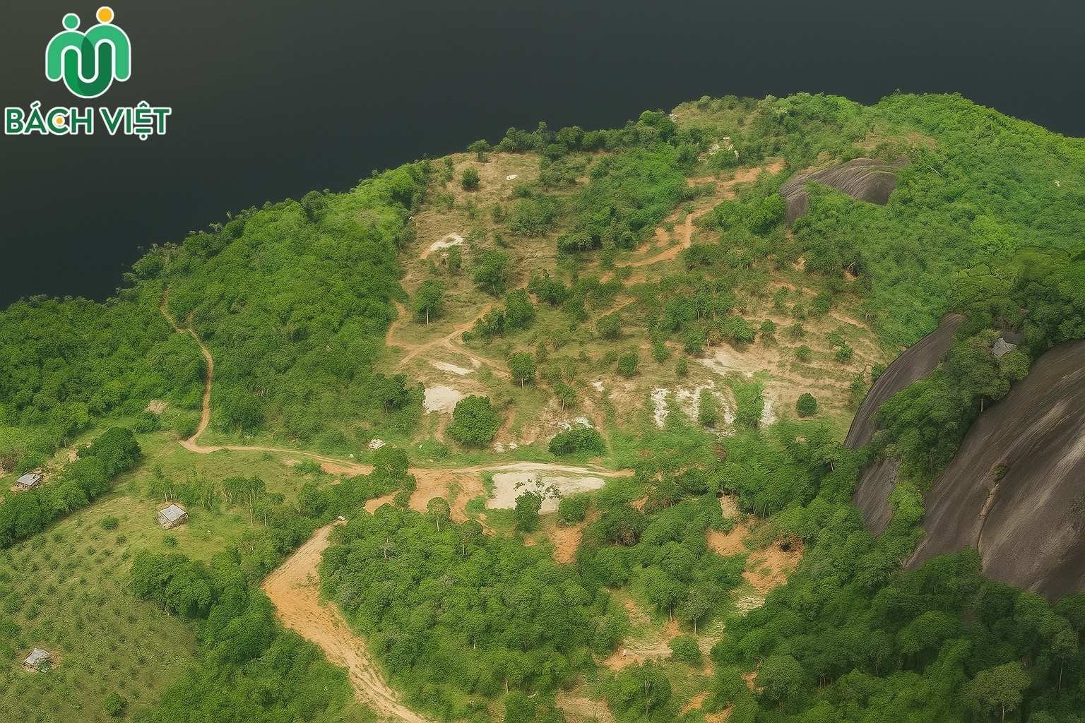 Khảo Sát Địa Hình Gồm Những Gì: Chia sẻ từ Bách Việt United